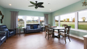 Bright sitting and sun room