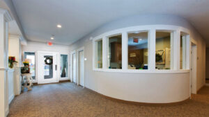 Welcome to our BeeHive